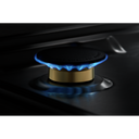 Jennair® Euro-Style 36 JX3™ Gas Downdraft Cooktop JGD3536GS