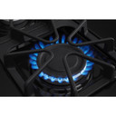 Amana® 30-inch Gas Range with Self-Clean Option AGR6603SMS