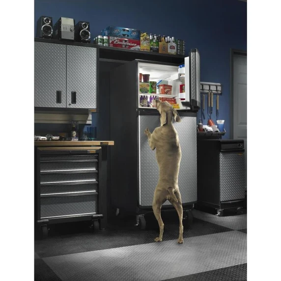 Gladiator® 48" (121.9 cm) Solid Shelf GAWA48SFRG