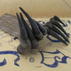 Top View