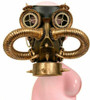 Top View