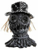 Top View