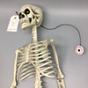 Top View
