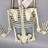 Top View