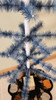Top View