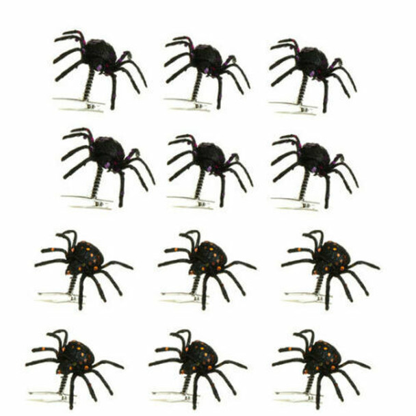 Top View