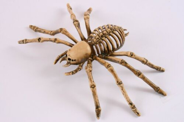 Top View