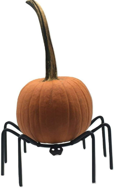 Top View
