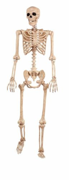 Top View