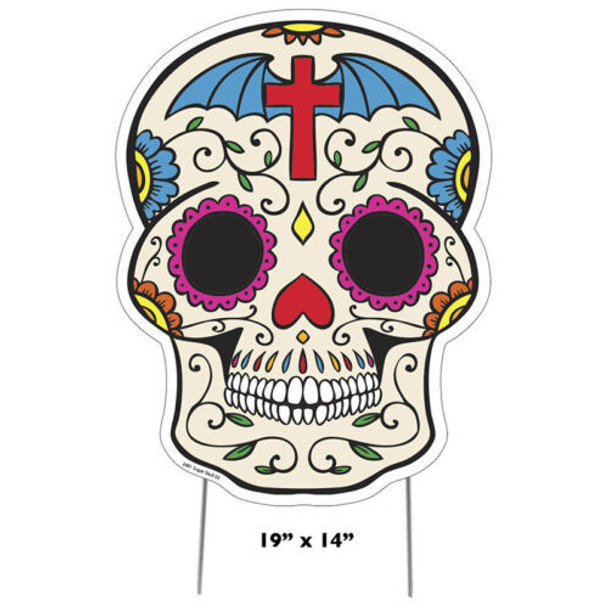 Top View