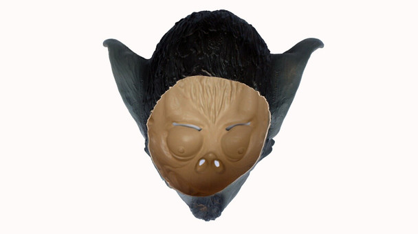 Top View