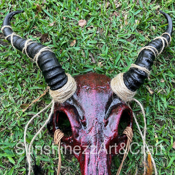 Top View