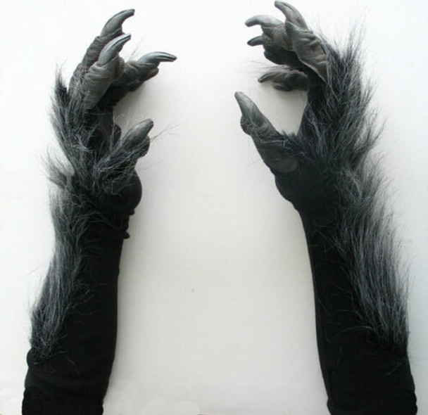 Top View