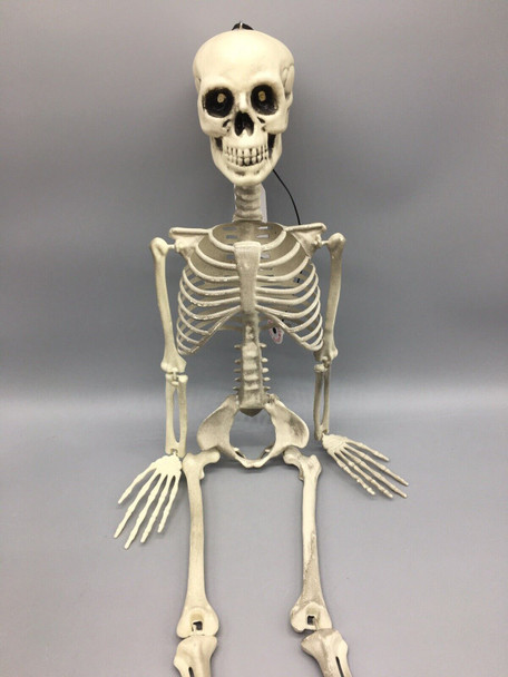 Top View