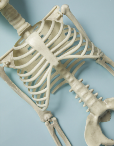 Top View