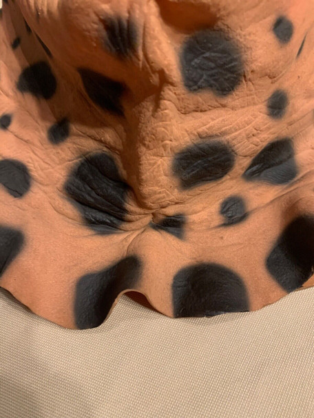 Top View
