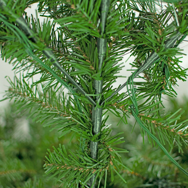 Top View