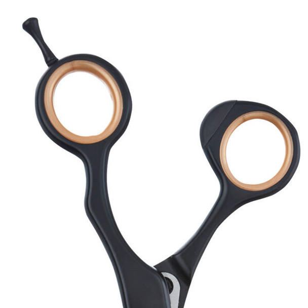 Top View