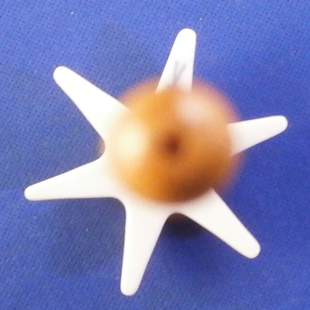 Top View