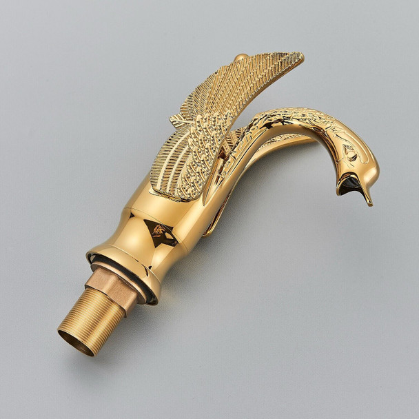 Top View
