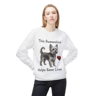 Pet Photo Sweatshirt | Helping Build Sustainable Funding for Rescues - Unisex Midweight Softstyle Fleece Crewneck Sweatshirt