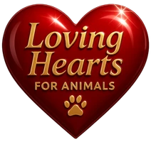 Loving Hearts for Animals LLC