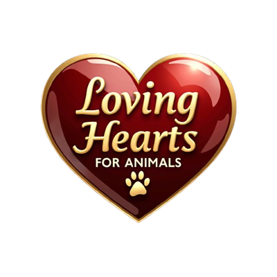 Loving Hearts for Animals LLC
