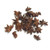 Anise Star  Whole 15g