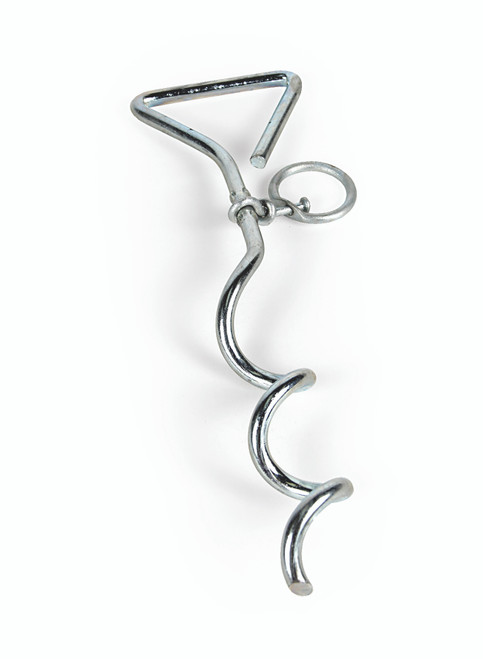 Spiral Anchor w/Ring (Eng/Fr) 42572