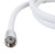 White Shower Head Hose 60" 43717