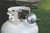 Hose-Propane 6' w/Reg, Female QC w/Shut-Off Valve, ACME 57629