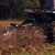 Black Boar ATV Disc Harrow Implement 66001