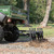 Black Boar - ATV Chisel Plow, Implement (E/F) 66003