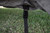 ULTRAShield RV Cover, P/L CW, Travel Trailer, Up to 15' 45920