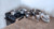 Camco Premium Stainless Steel Nesting Cookware, 10-Piece Set 43921