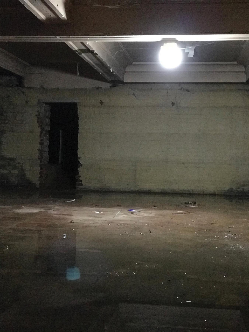 Elite Helios 360° LED Light 110V with Microwave Sensor & PTO (LEDH360SENSOR)