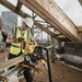 Dewalt DCS777T2 54V Flexvolt 216mm Mitre Saw with 2 x 6.0Ah Batteries & Charger