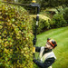 DeWalt DCMPH566N-XJ 18V XR Brushless Pole Hedge Trimmer - Bare Unit