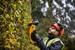 DeWalt DCMHT562P1-GB 18V XR Hedge Trimmer With 1 x 5Ah Battery