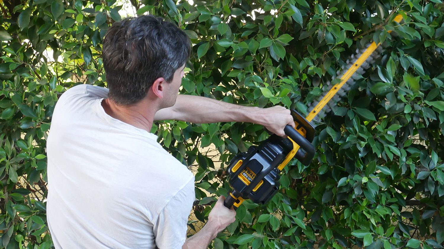 Want To Go Green With Your Gardening? Try Cordless