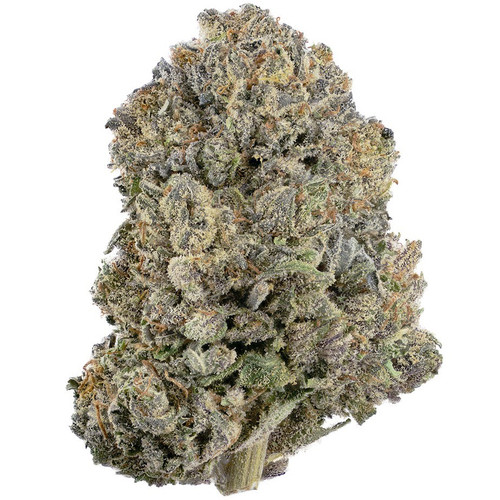 PINK ROB FORD  Hybrid THC 30.61%  GRADE AAAA+
