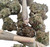 ISLAND PINK KUSH 1 GRAM PRE-ROLLED JOINTS INDICA  30.0% THC GRADE: AAAA