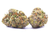 SNOOP DOGG OG Indica THC: 29.10% GRADE AAAA