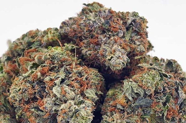 Pink Rockstar AAAA Hybrid 70% indica 30% sativa