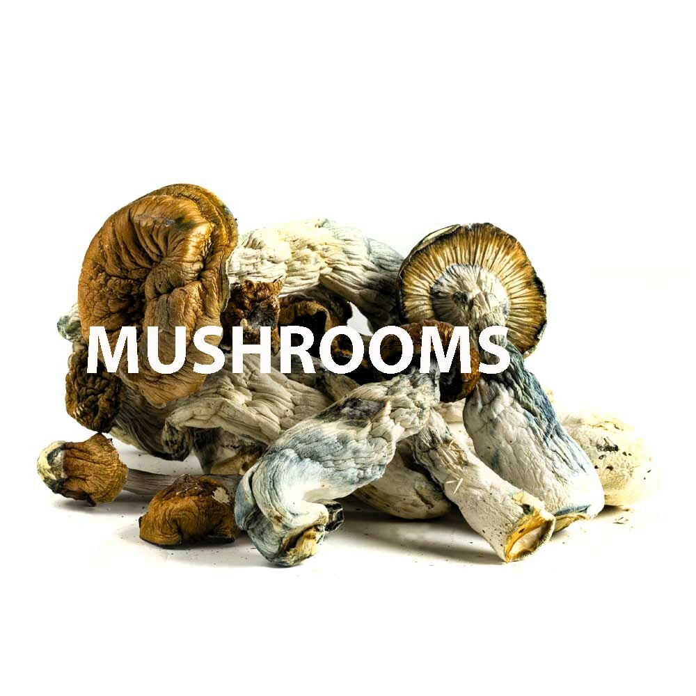 24 hour Mushroom delivery and pick up in Toronto