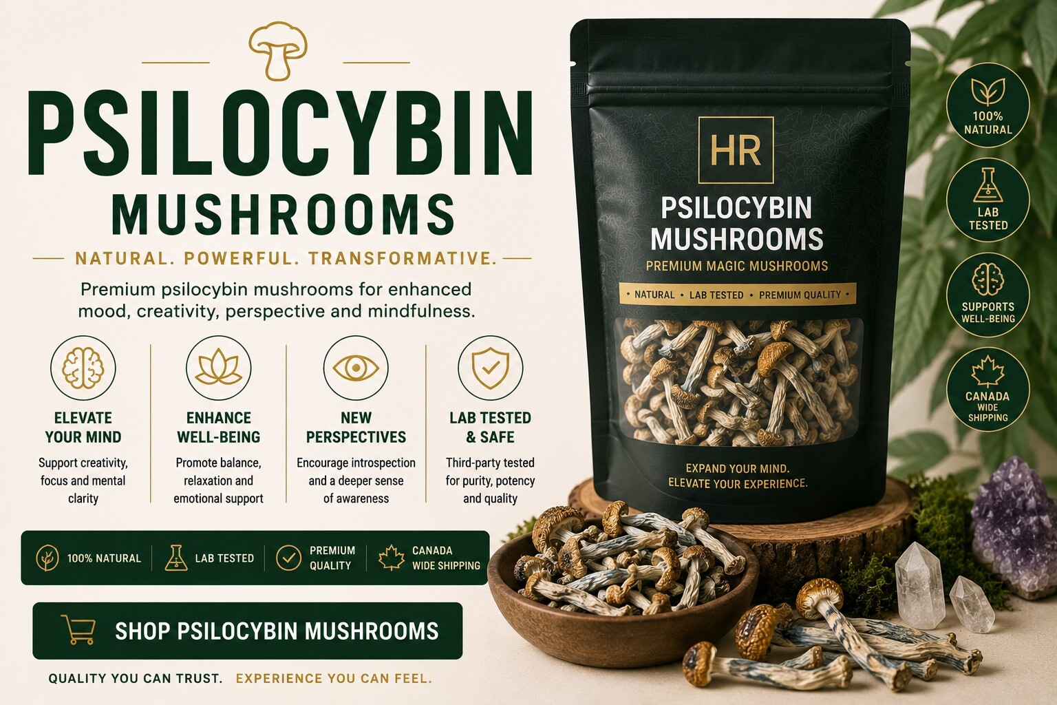 mushroom-banner.jpg