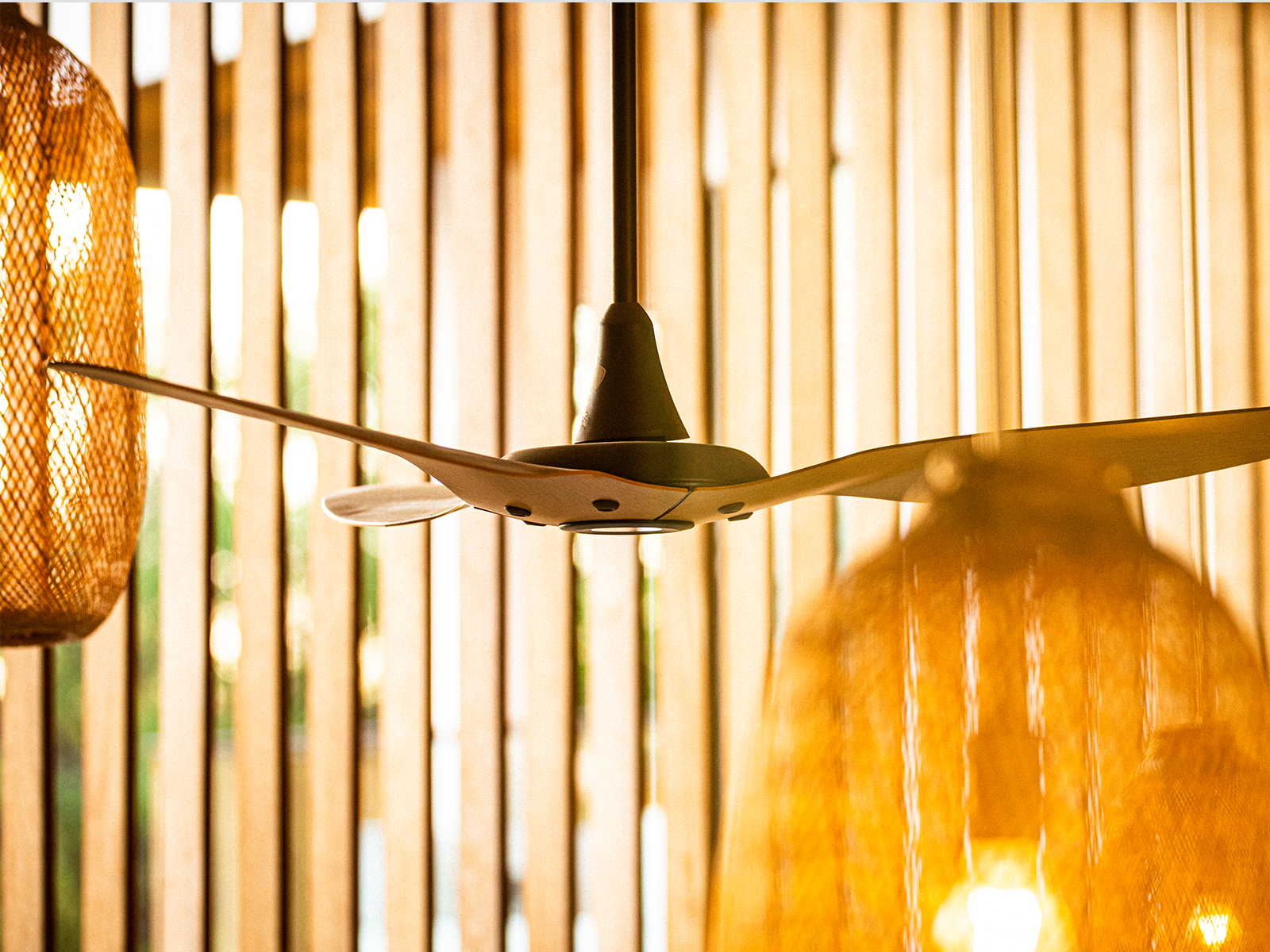 National Ceiling Fan Day