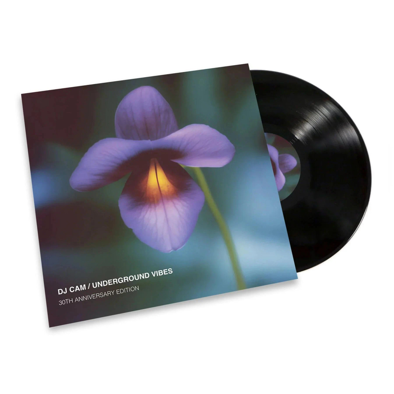 DJ Cam Underground Vibes LP レコード DJ Cam - Underground Vibes (30th Anniversary Vinyl LP) (Diggers