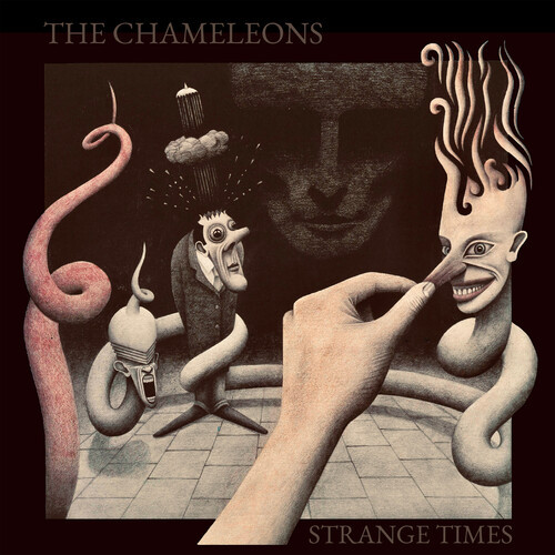 The Chameleons – Strange Times.    (2 x Vinyl, LP, Album, 35th Anniversary Edition, Smoked, 180g)