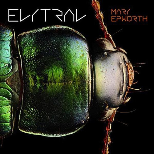 Mary Epworth ‎– Elytral (VINYL LP)